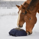 Fluffy Feeder