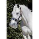 Pack complet panier anti-fourbure ThinLine® - Taille CHEVAL