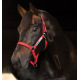 Licol de sécurité Horseware® rouge fluorescent