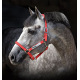 Licol de sécurité Horseware® rouge fluorescent