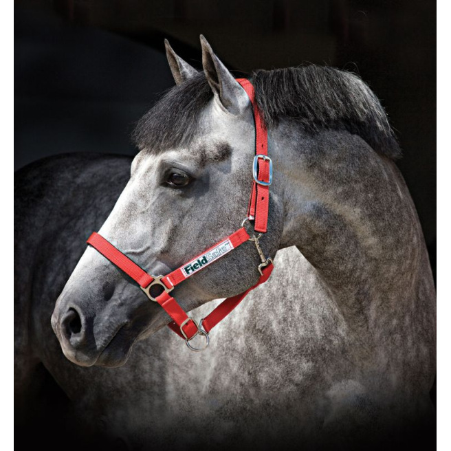 Licol de sécurité Horseware® rouge fluorescent