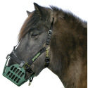 Pack complet panier anti-fourbure Greenguard® - Taille PONEY